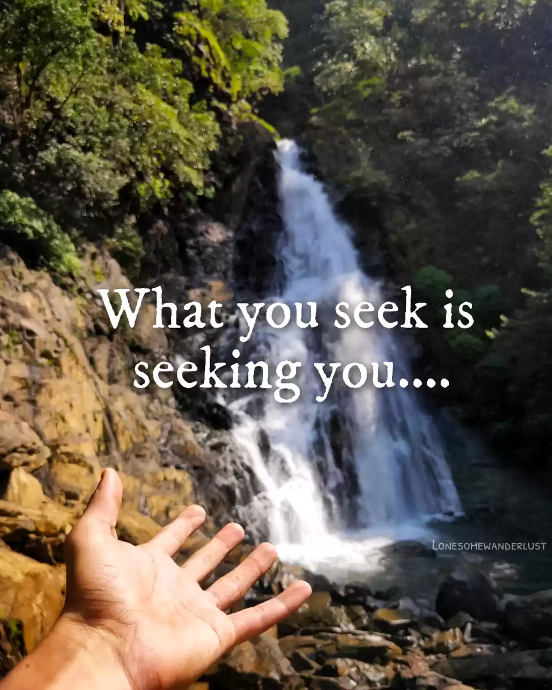 Photo of What you seek is see