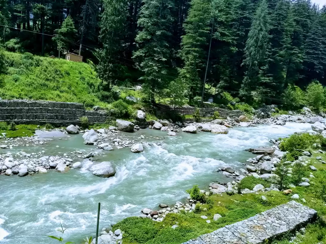 Photo of Beautiful Beas