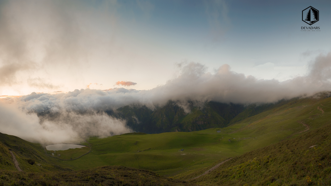 Photo of Our latest find: Ali