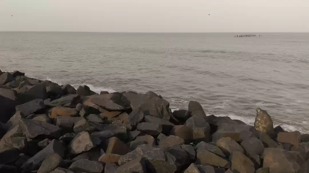 Photo of Tamil Riviera- words