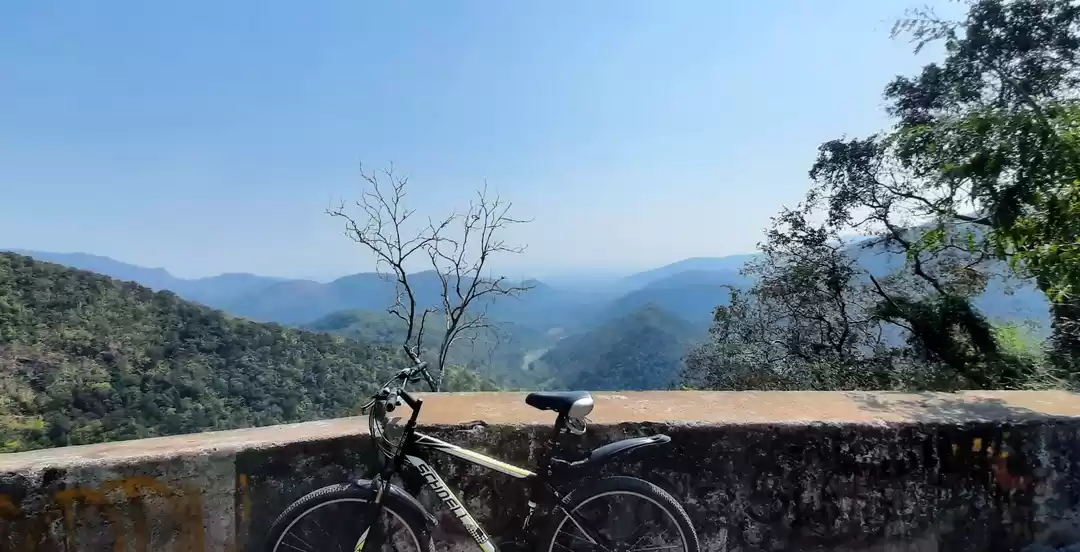 Photo of Into The Life