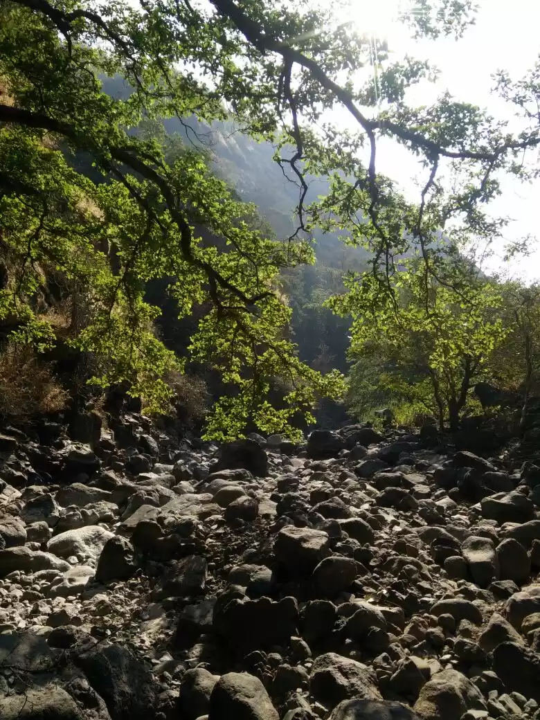 Photo of New Year Trek To San