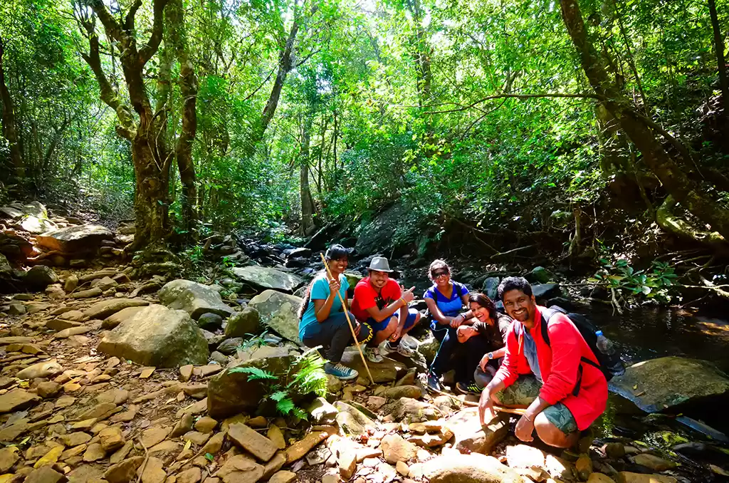 Photo of Candy lick for trave