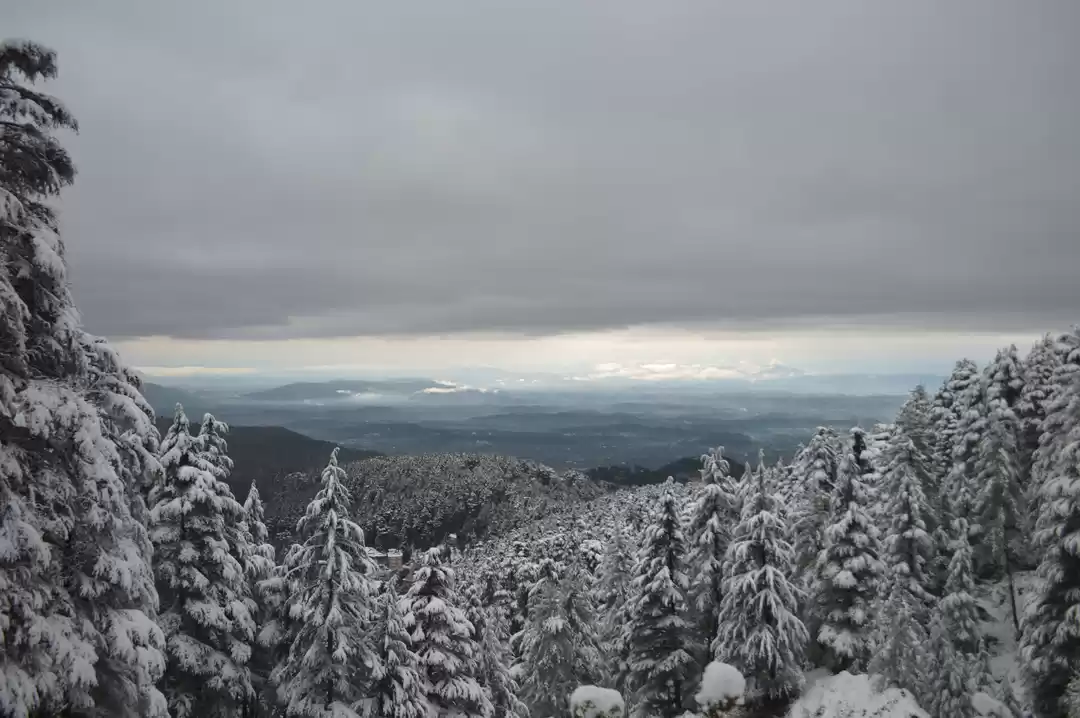 Photo of समय नही ज्यादा फिर भ