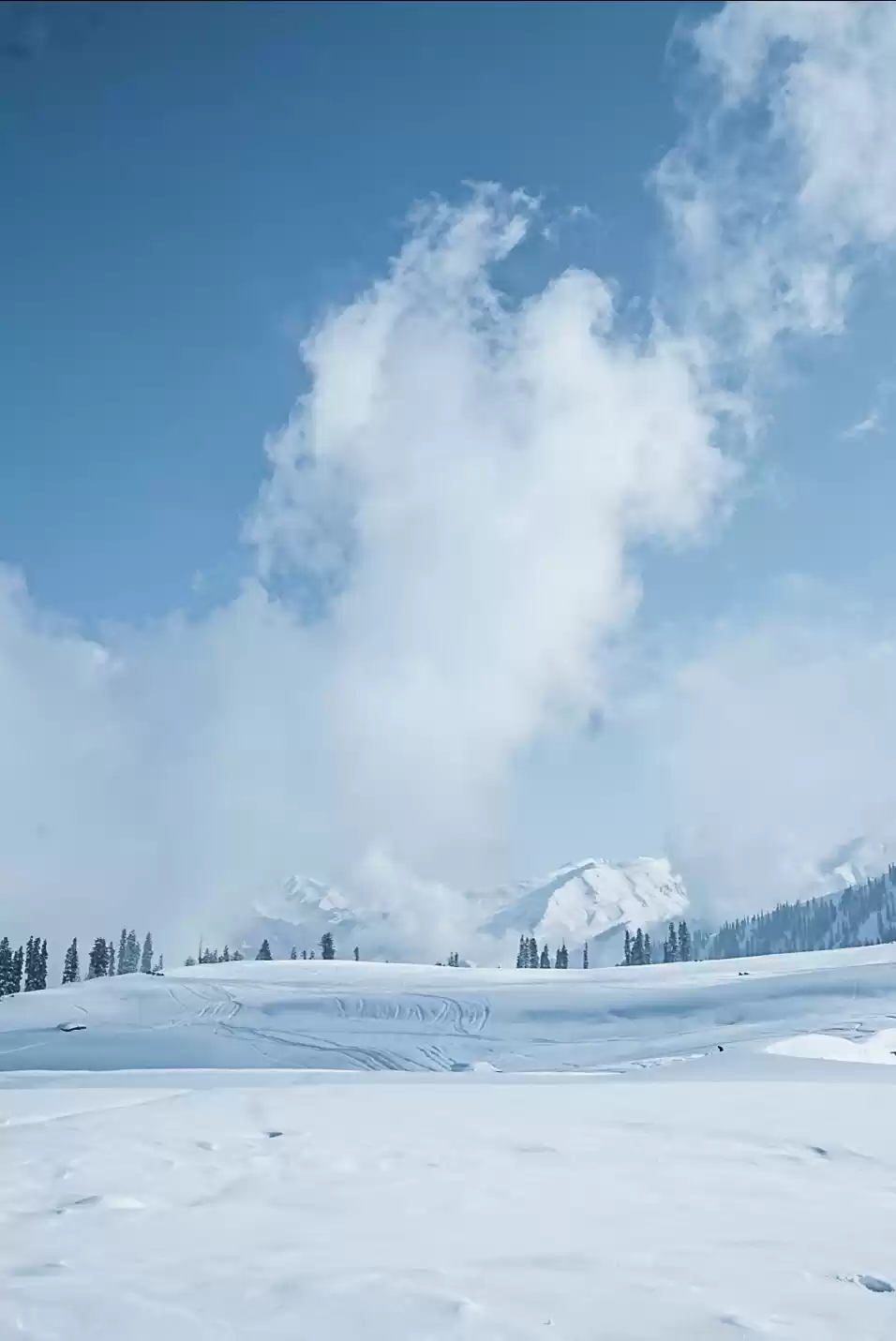 Photo of Gulmarg in winter's