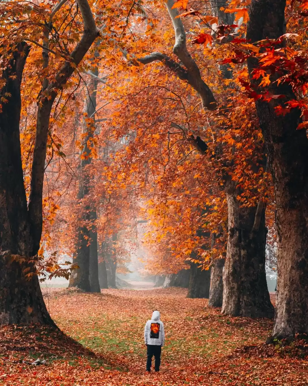 Photo of NISHAT garden in aut