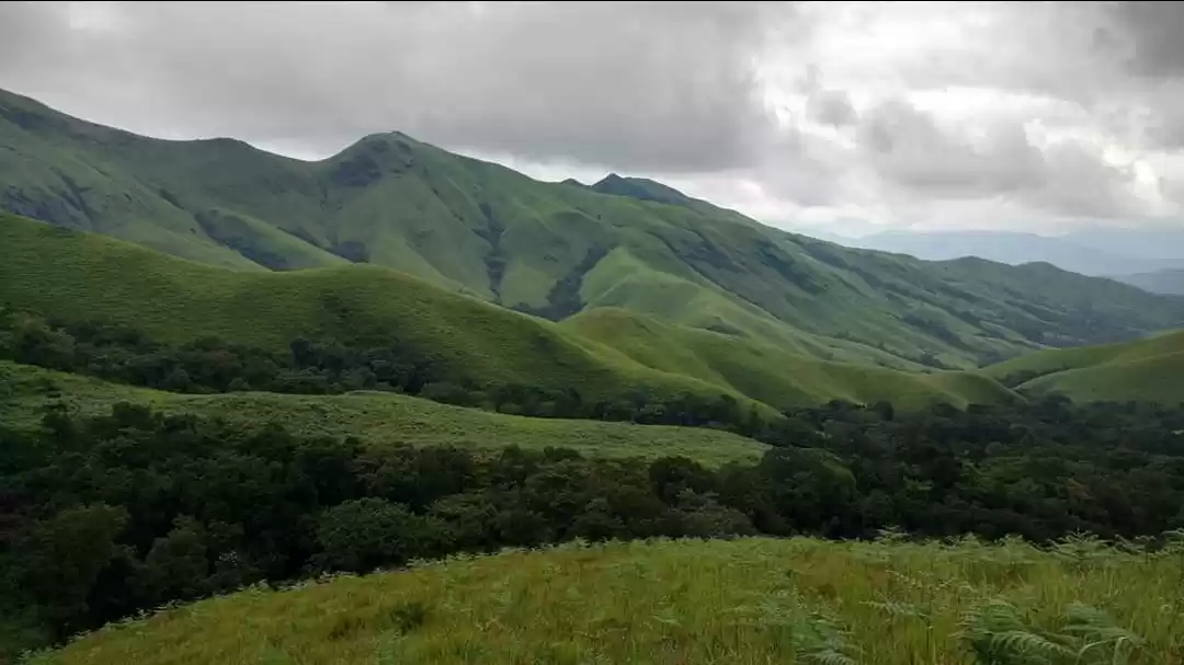 Photo of Nature beauty