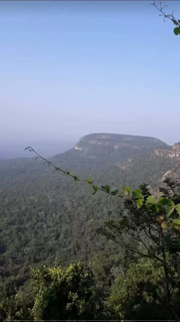 Photo of CHAITURGARH: SWITZER