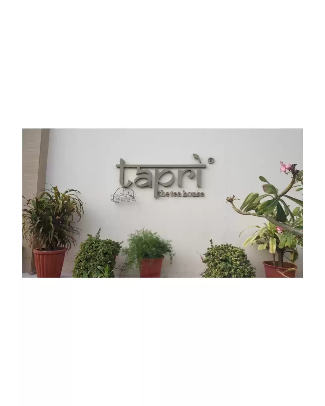 Photo of Where there is tea, 