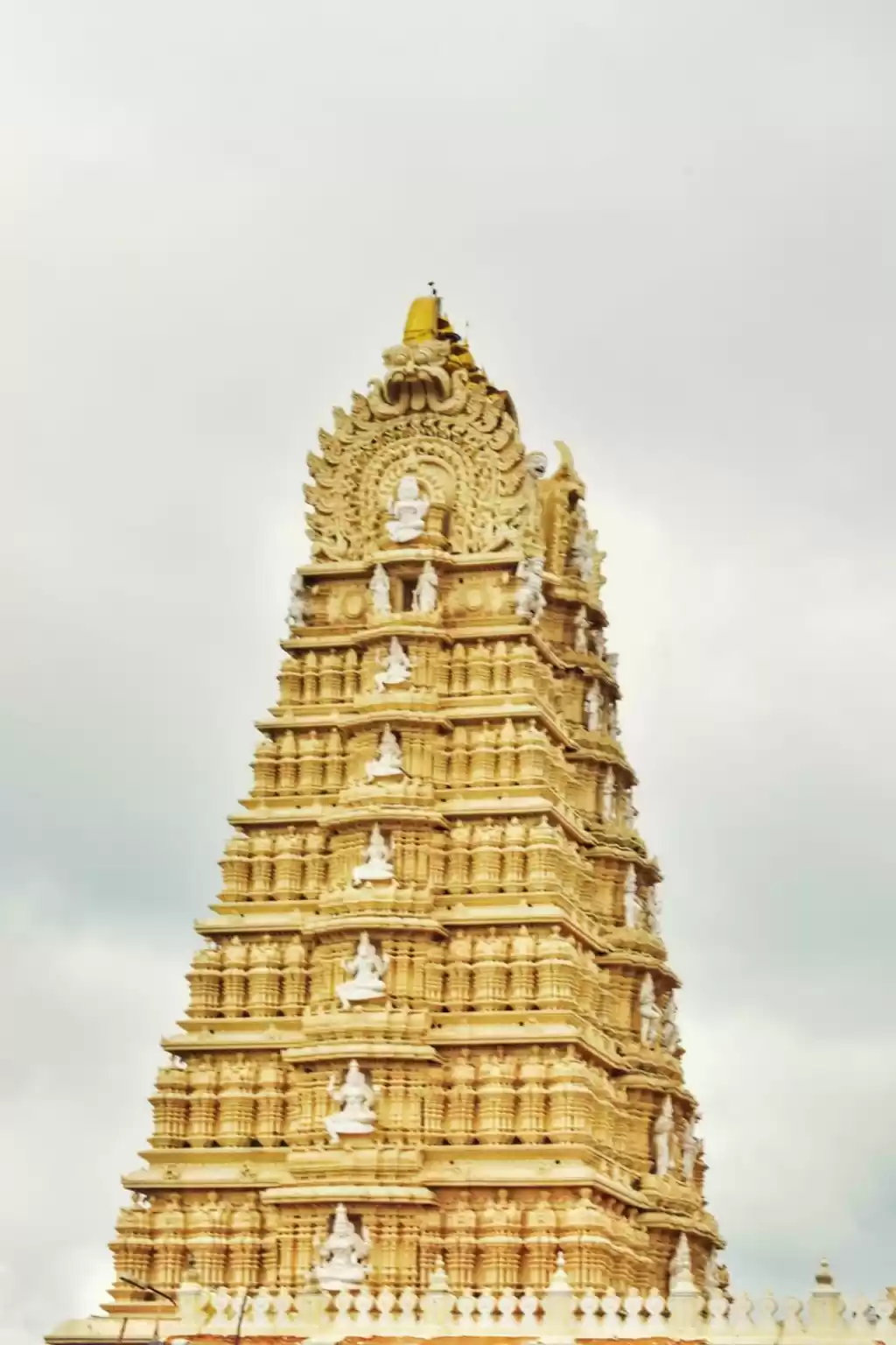 Photo of Mysore to Coorg- ami