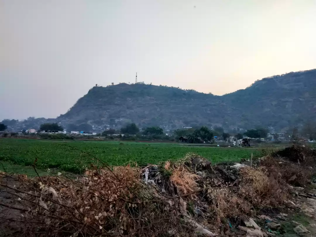 Photo of Hi everybody 👋