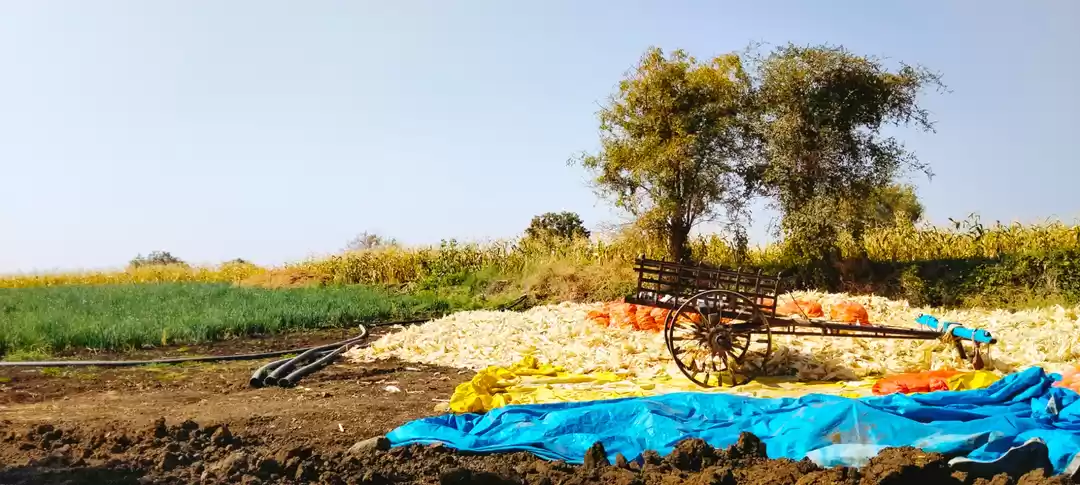 Photo of Vivek Prataprao 