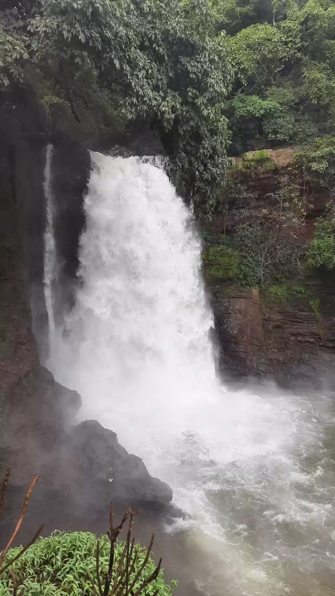 Photo of Harvalem Falls