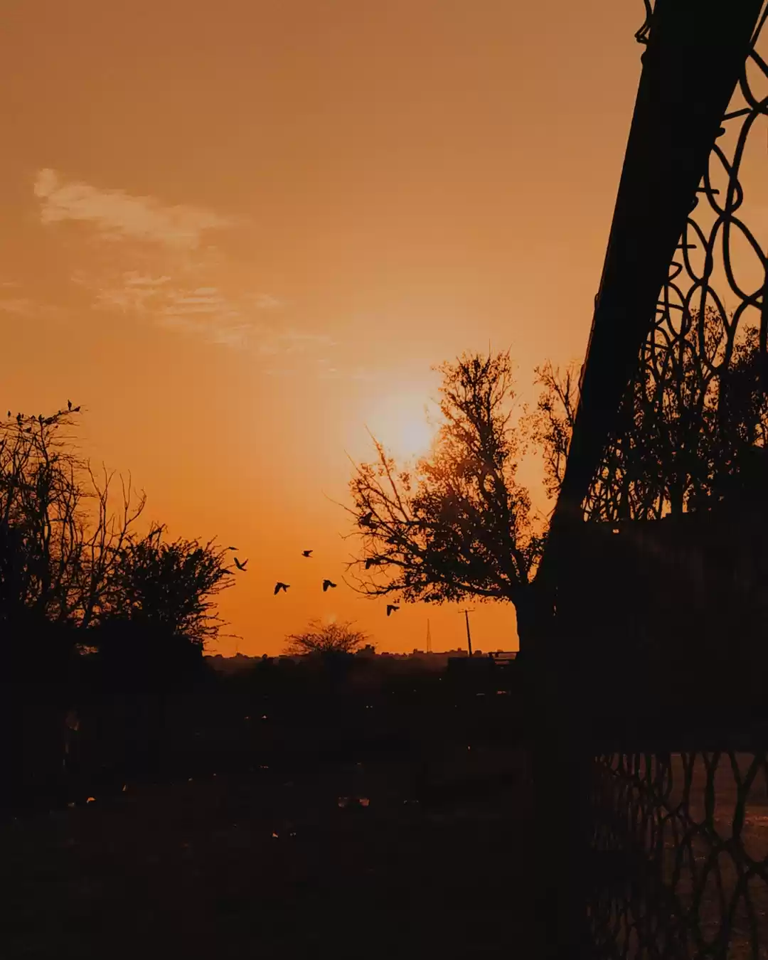 Photo of Streets photography