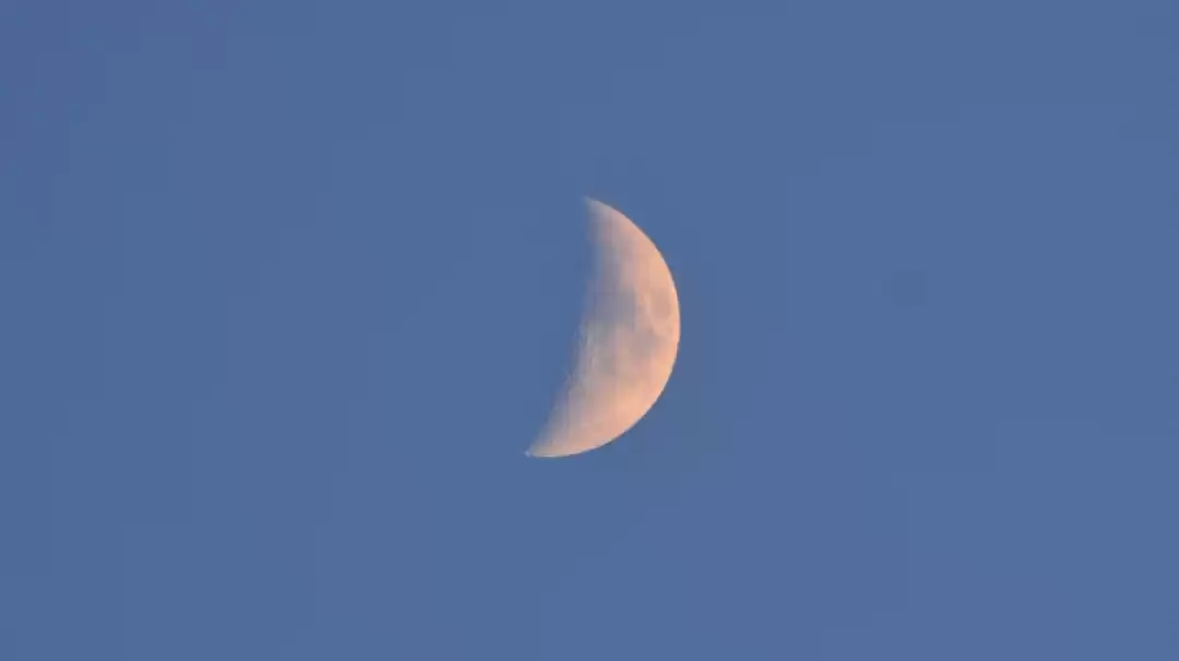 Photo of Half moon
