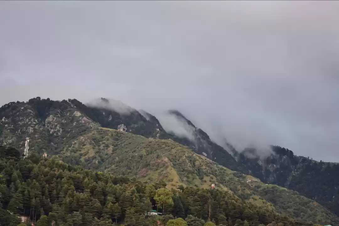 Photo of Mountains + Fog
