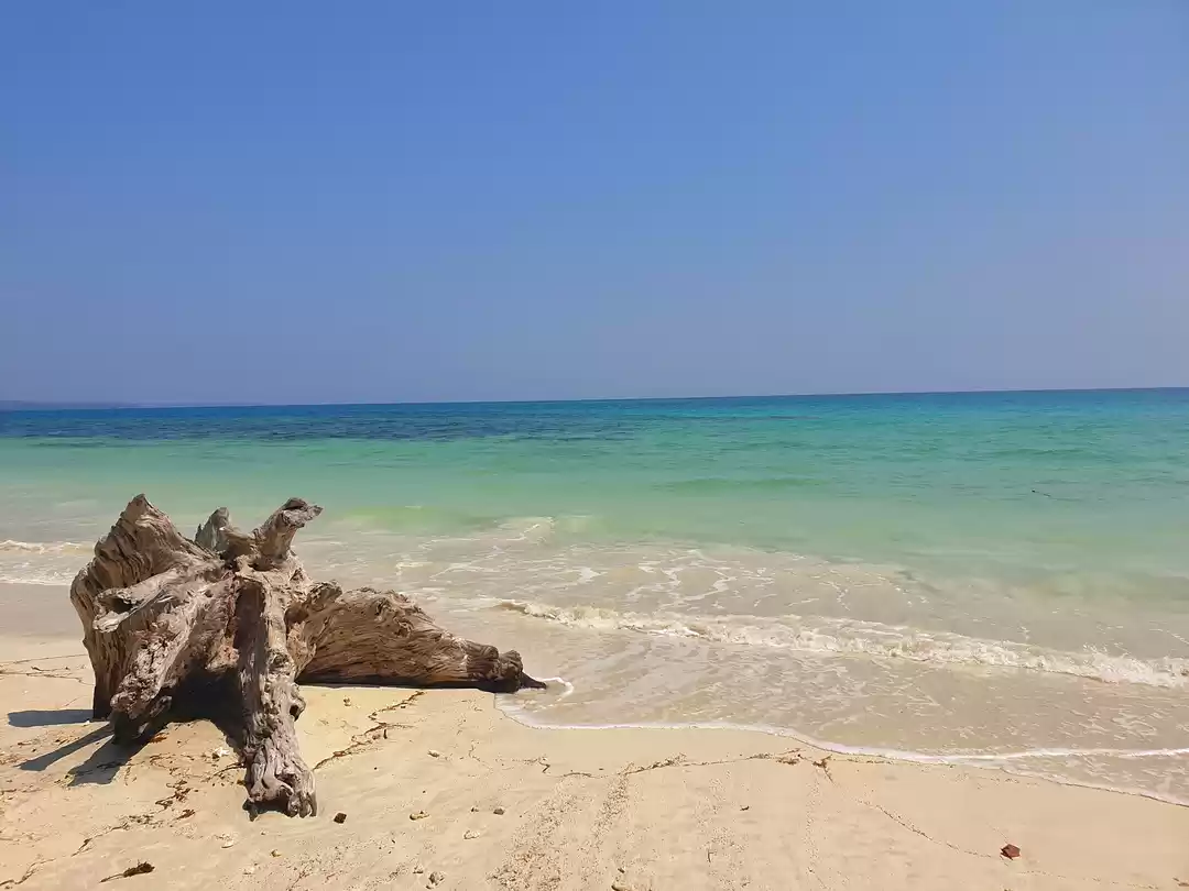 Photo of AFTERNOON MUSINGS AT