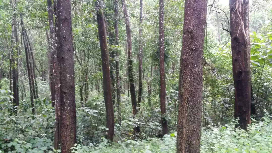 Photo of My first solo trip