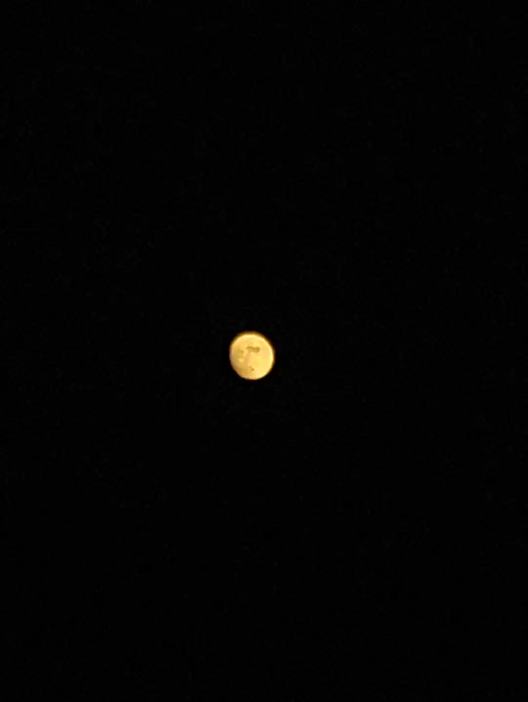 Photo of Night Moon