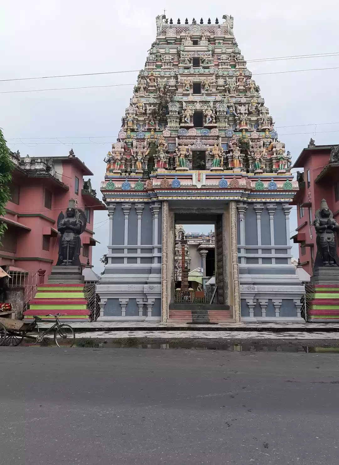 Photo of Varadraj Perumal Dev