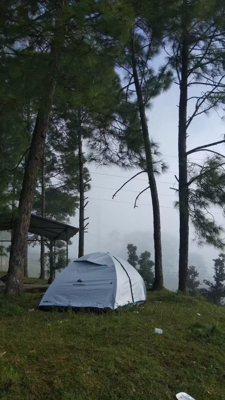 Photo of EXPLORING MUNSYARI