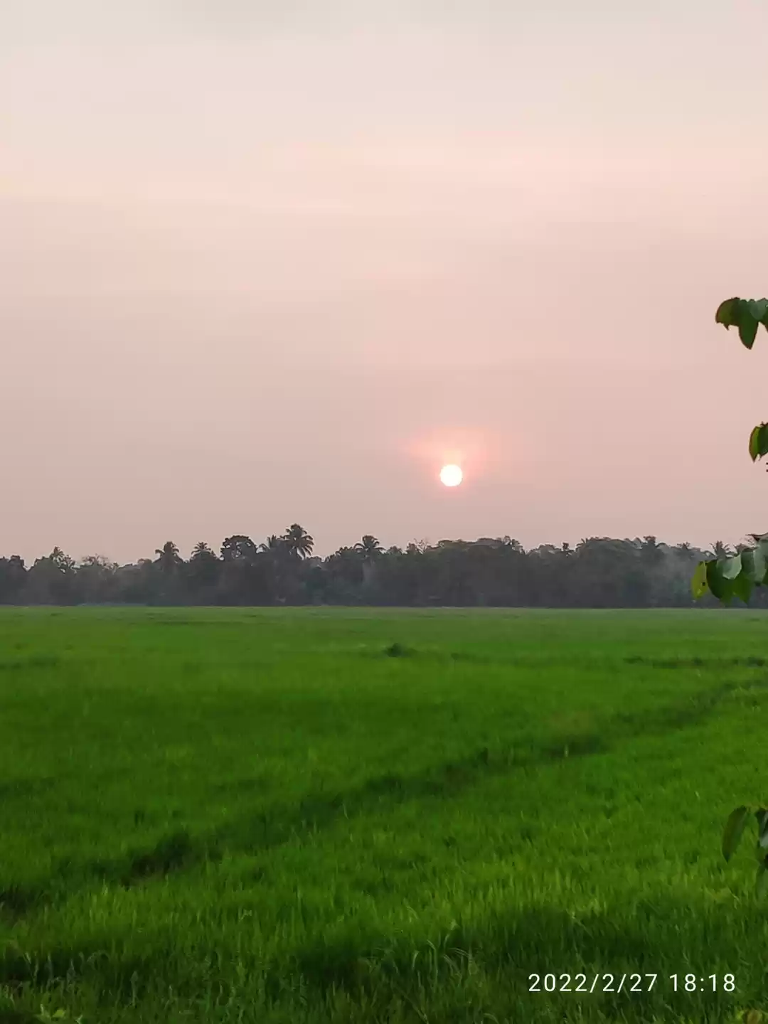 Photo of Kumarakom Sun set vi