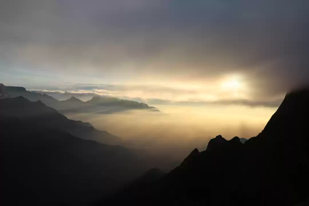 Photo of A Roadtrip to Munnar