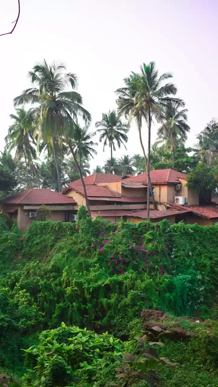 Photo of candolim beach