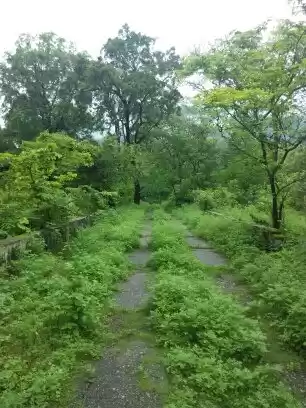 Photo of When I met The Beatl