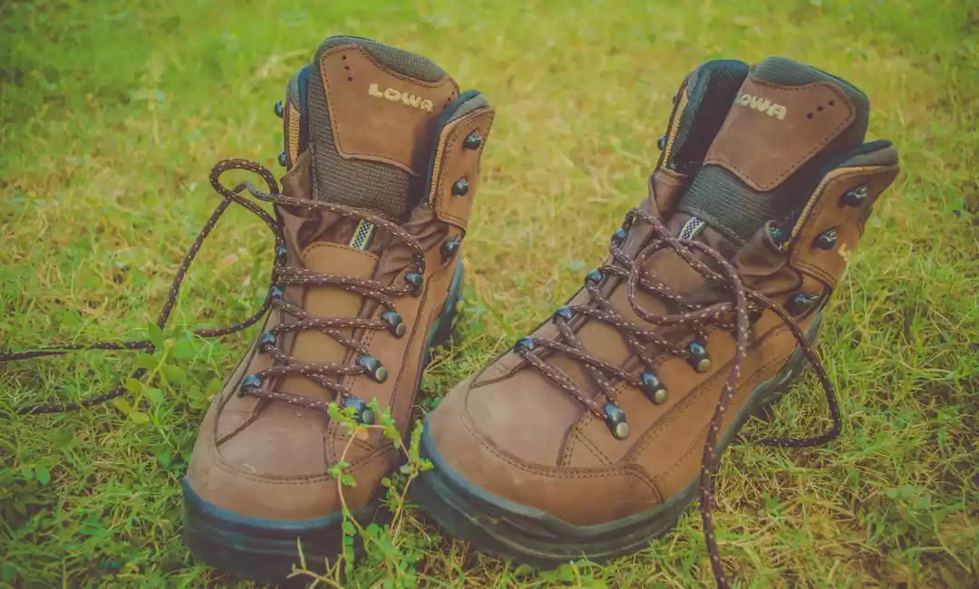 Photo of Tripoto Reviews: Low