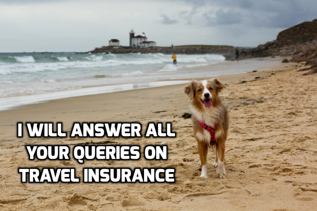 Photo of What is Travel Insur