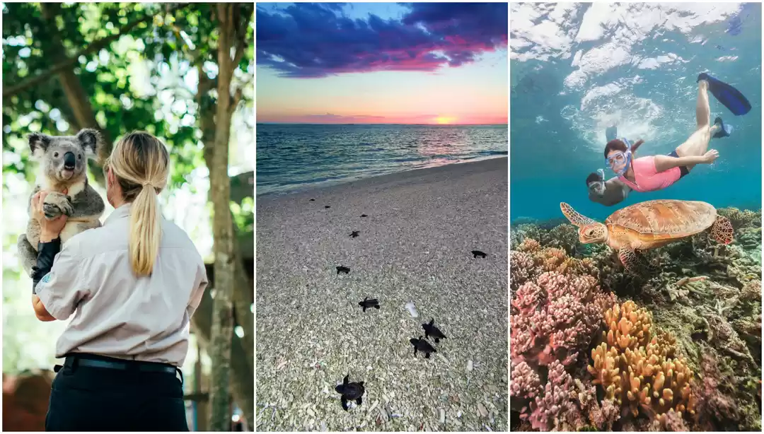 Photo of 8 Magical Things Tha