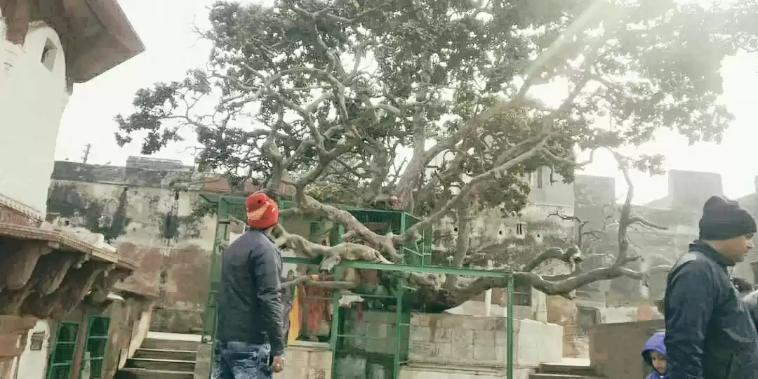 Photo of वृंदावन के शैतान बंद