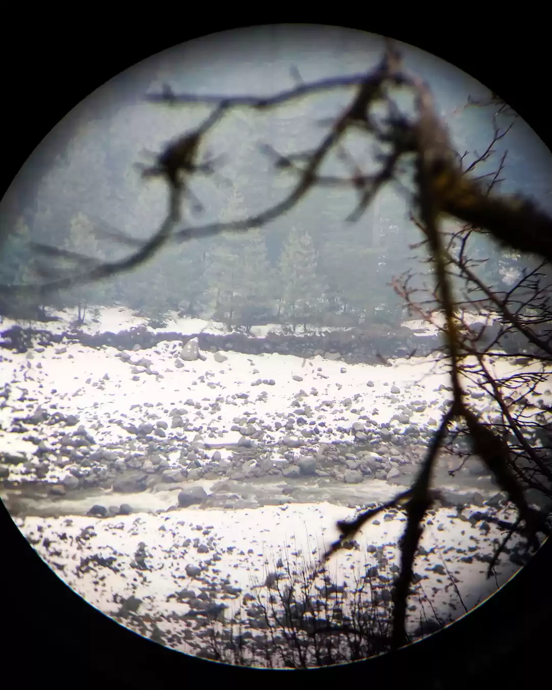 Photo of Nikon Aculon view fr