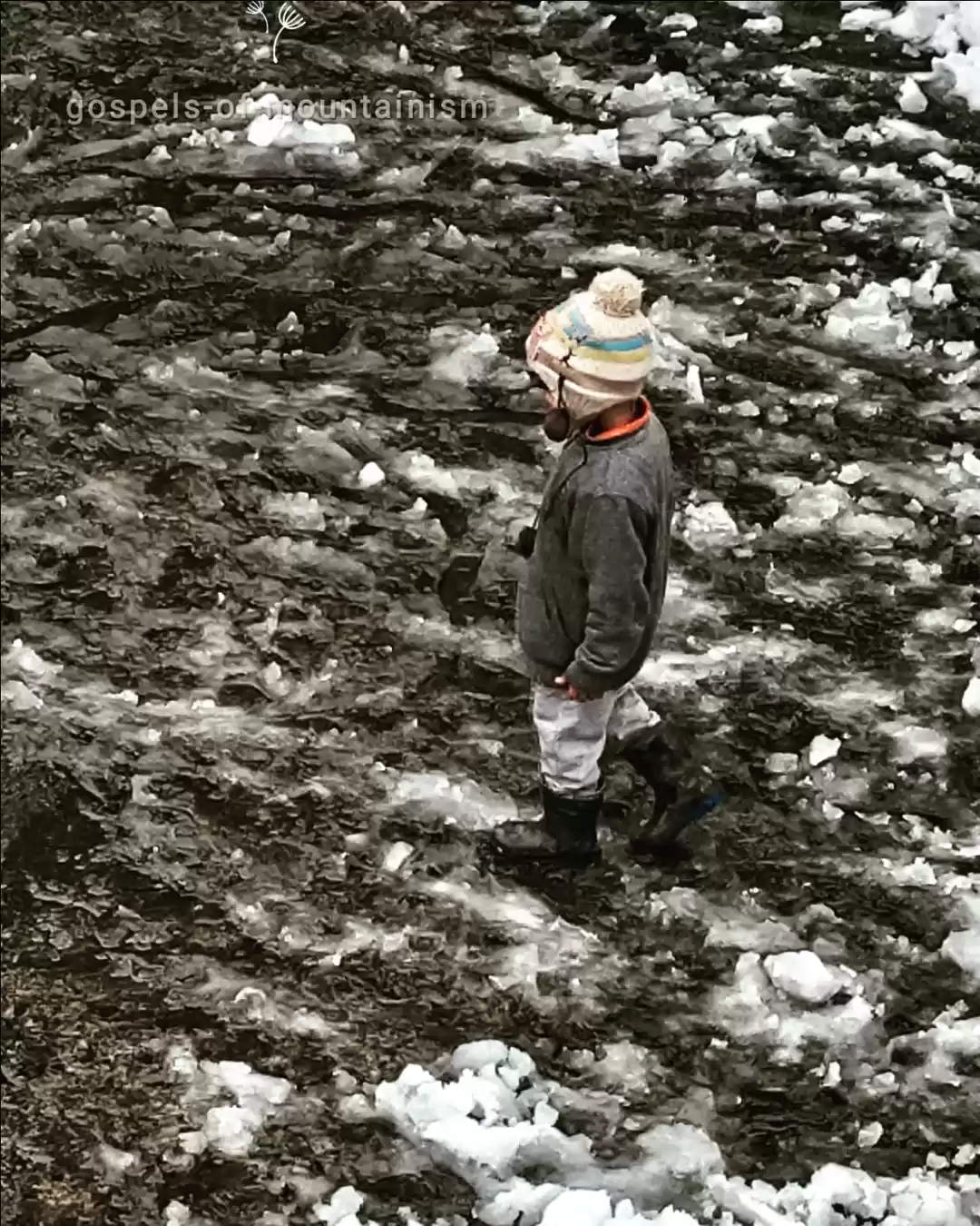 Photo of Never seen a camoufl