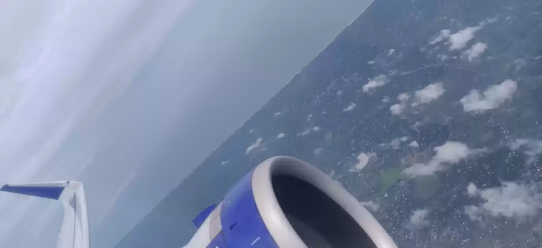 Photo of Confessions of a Tra