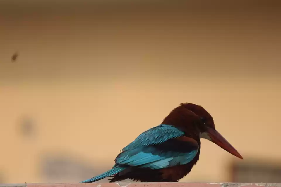 Photo of Road Trip - Rann Of 