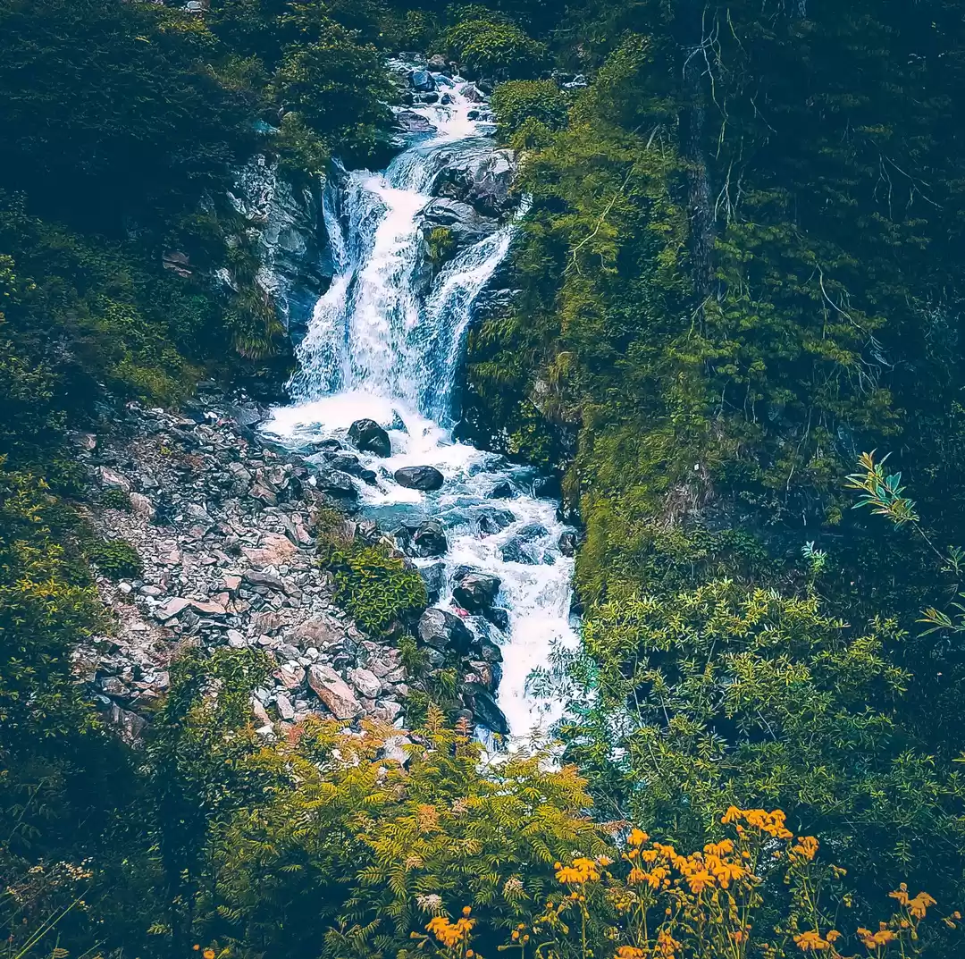 Photo of Water Fall 