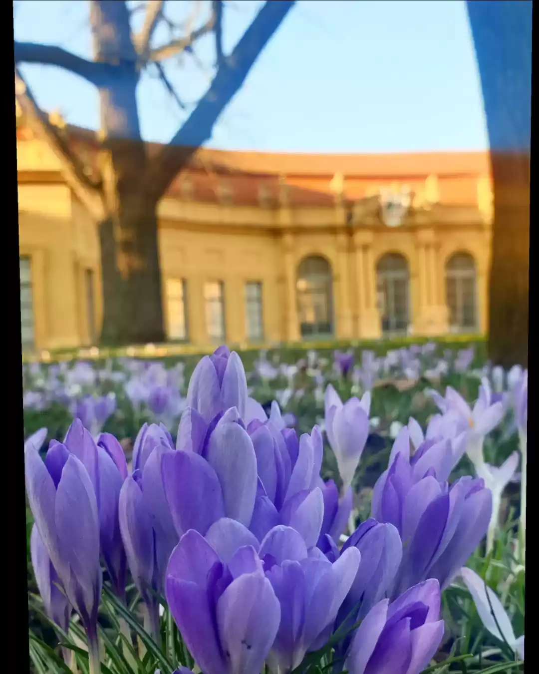 Photo of Spring 