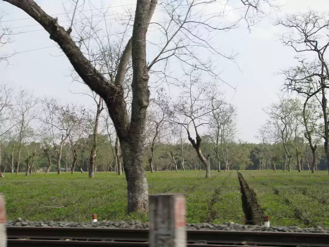 Photo of Backpacking to Upper