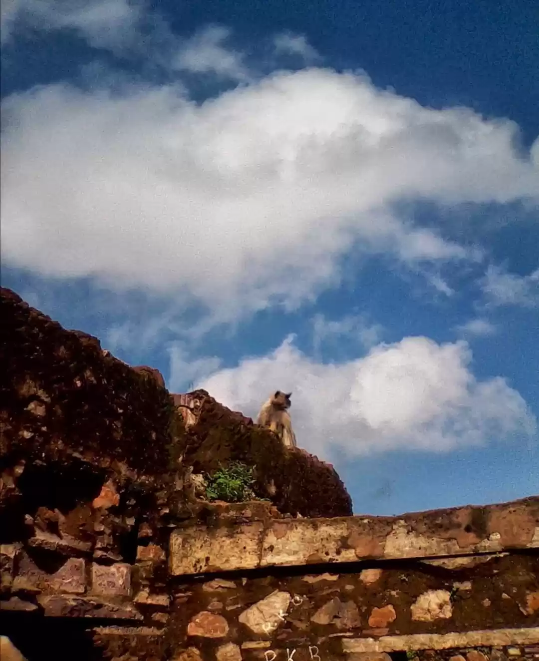 Photo of Sawai Madhopur