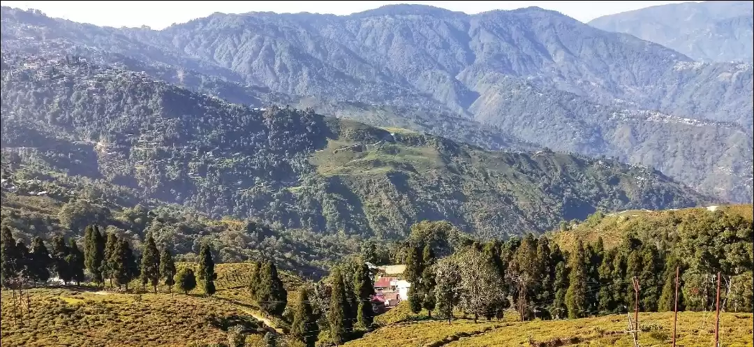 Photo of amazing view Darjeel