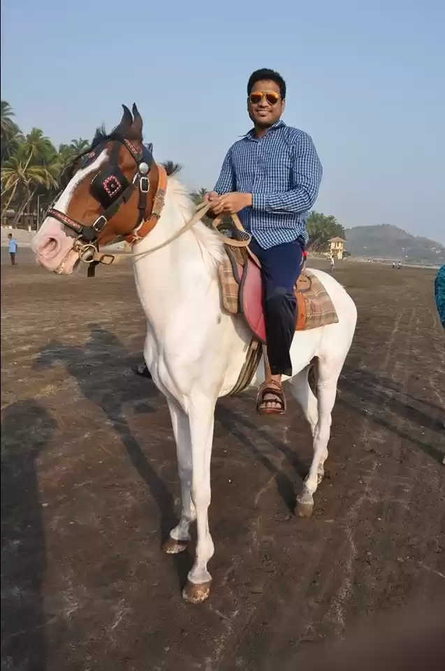 Photo of Horse 🐎