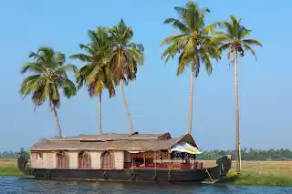 Photo of The Biennale in the