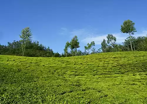 Photo of Escape to the panora