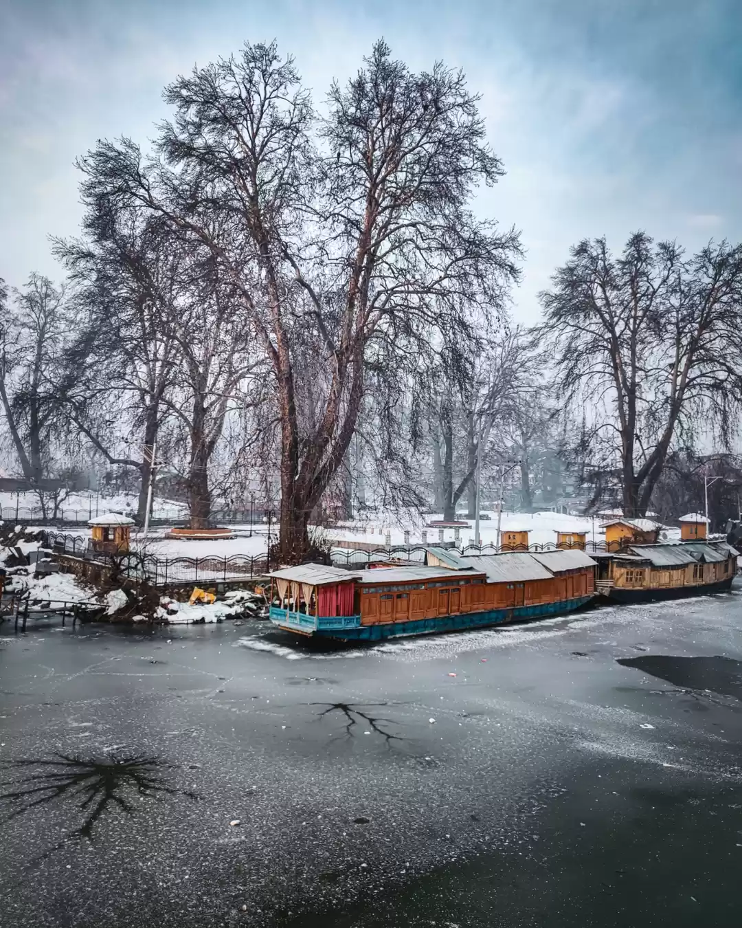 Photo of Jhelum river to conn