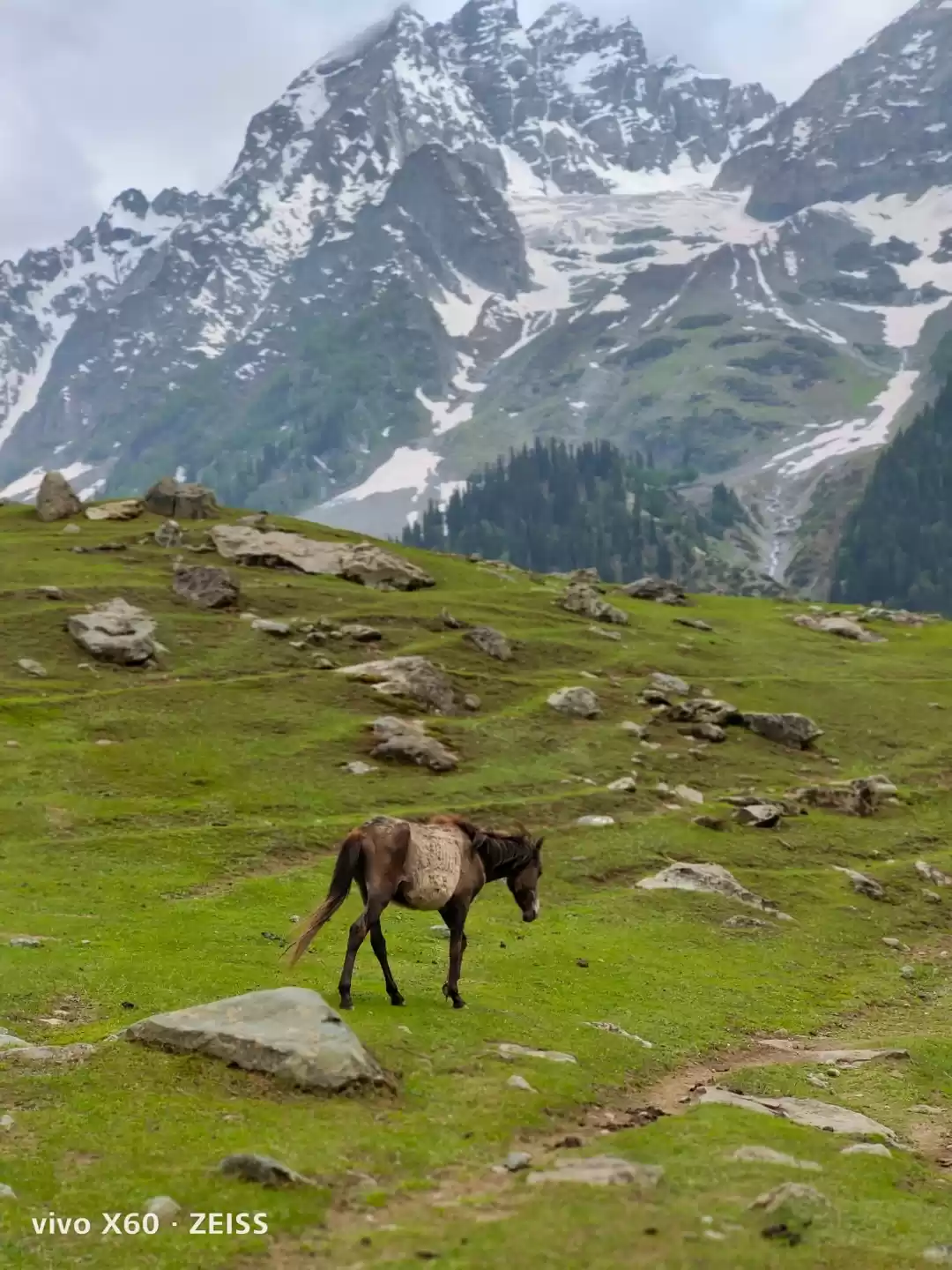 Photo of Im on the top of the