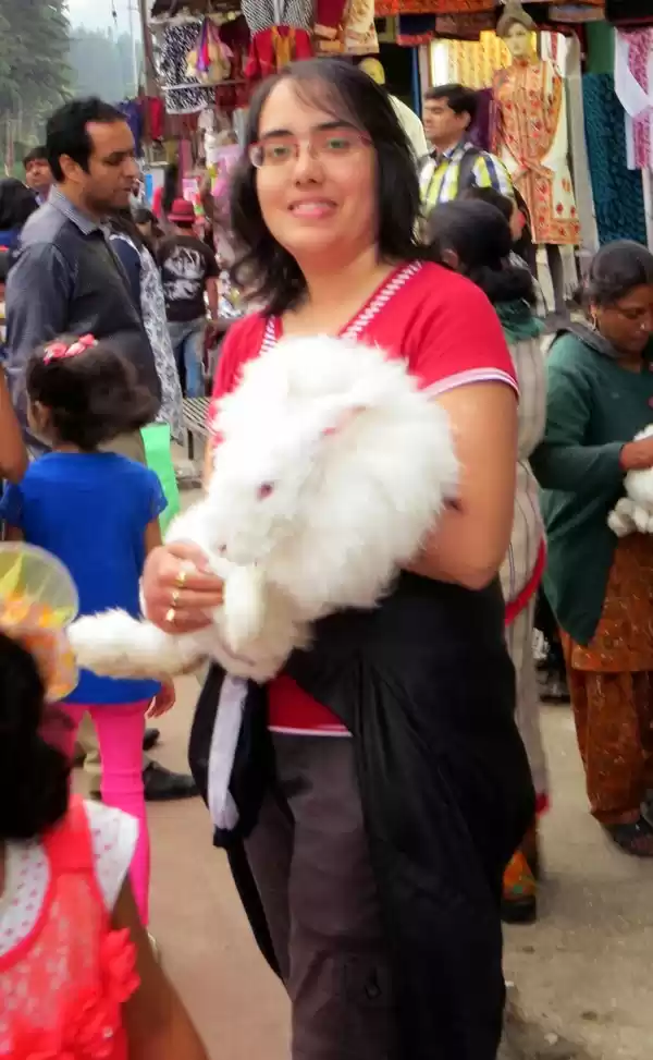 Photo of An evening in Manali