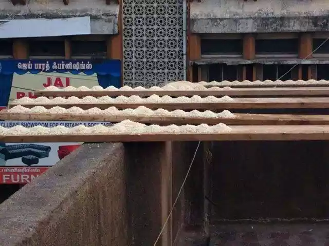 Photo of Parrot Party in Chen
