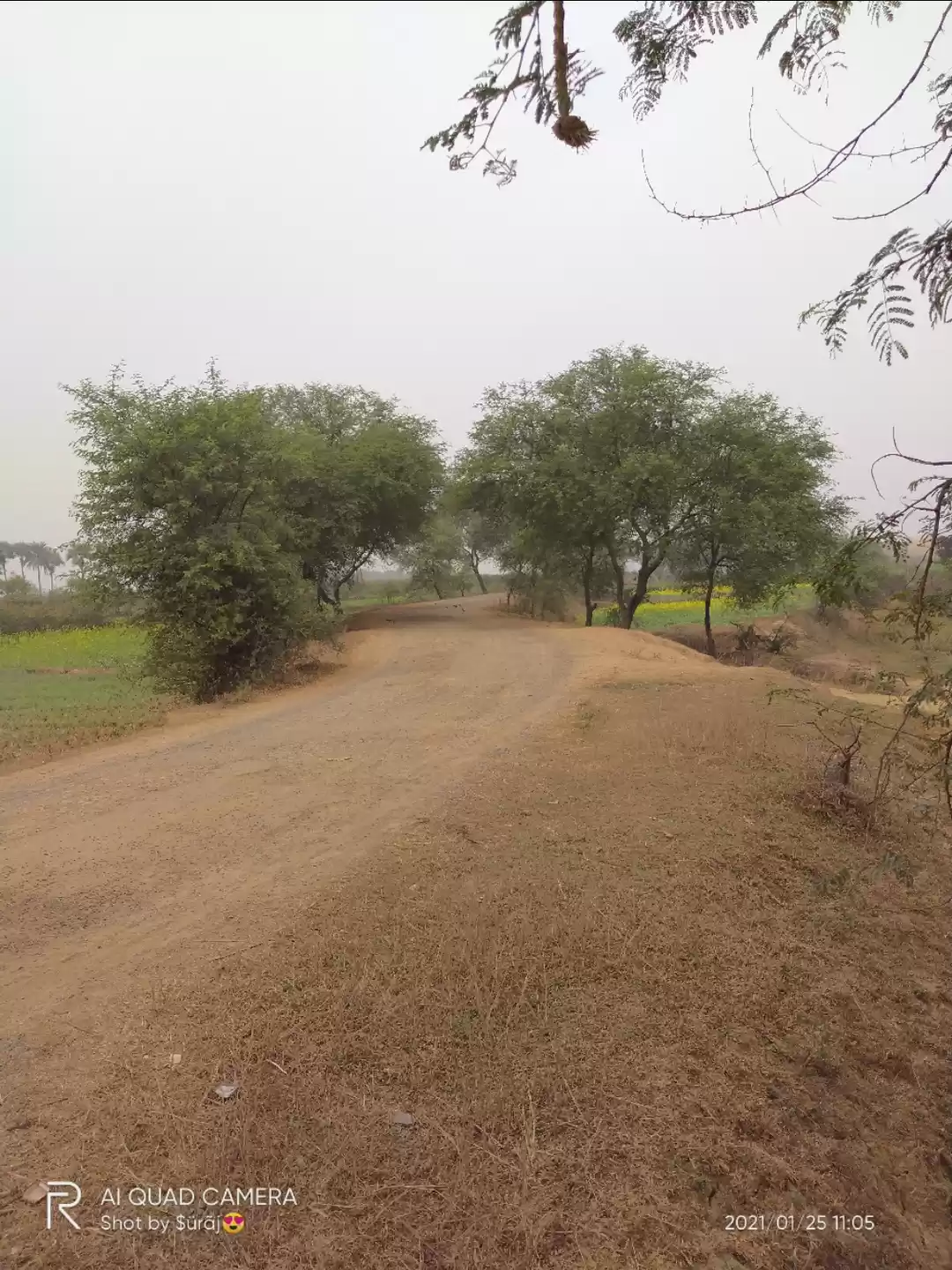 Photo of Nature